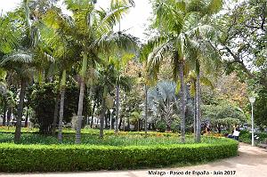 248- Malaga paseo de Espana